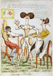 Csipkés Dandy
